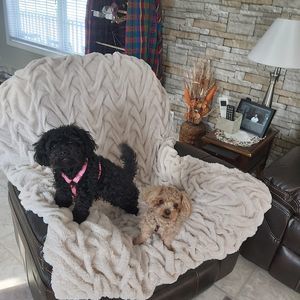 Meet your Posher, Kim